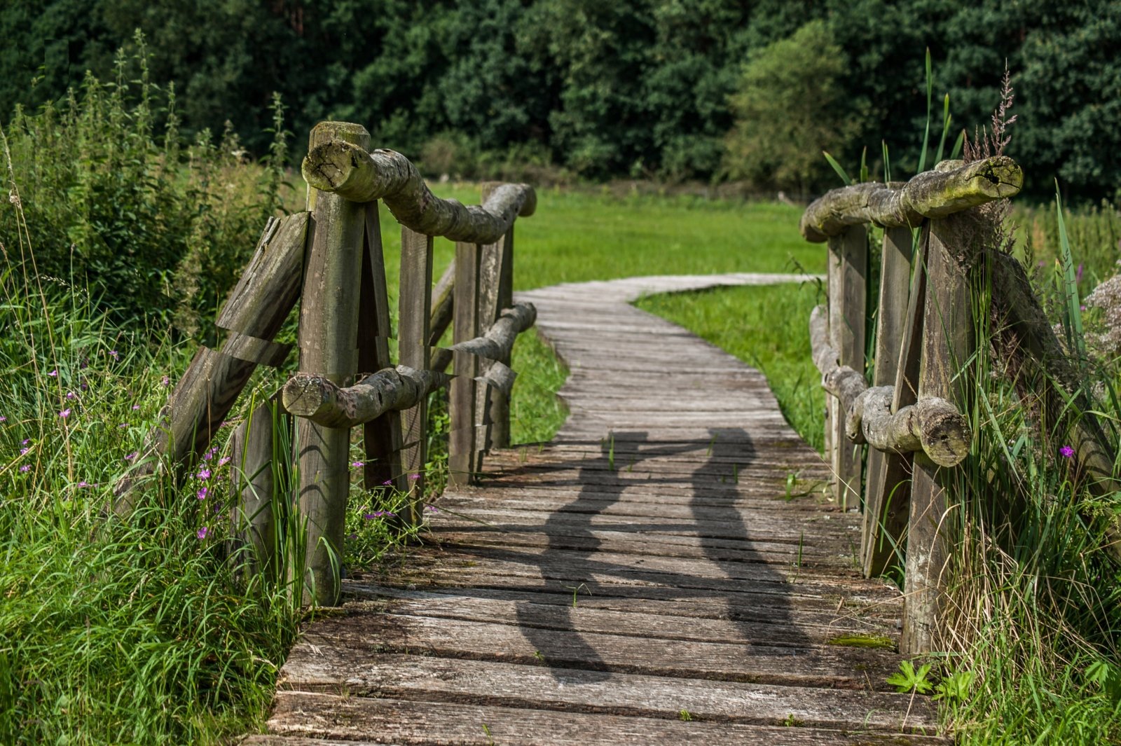 Brücke (c) hmauck / cc0 – gemeinfrei / Quelle: pixabay.com