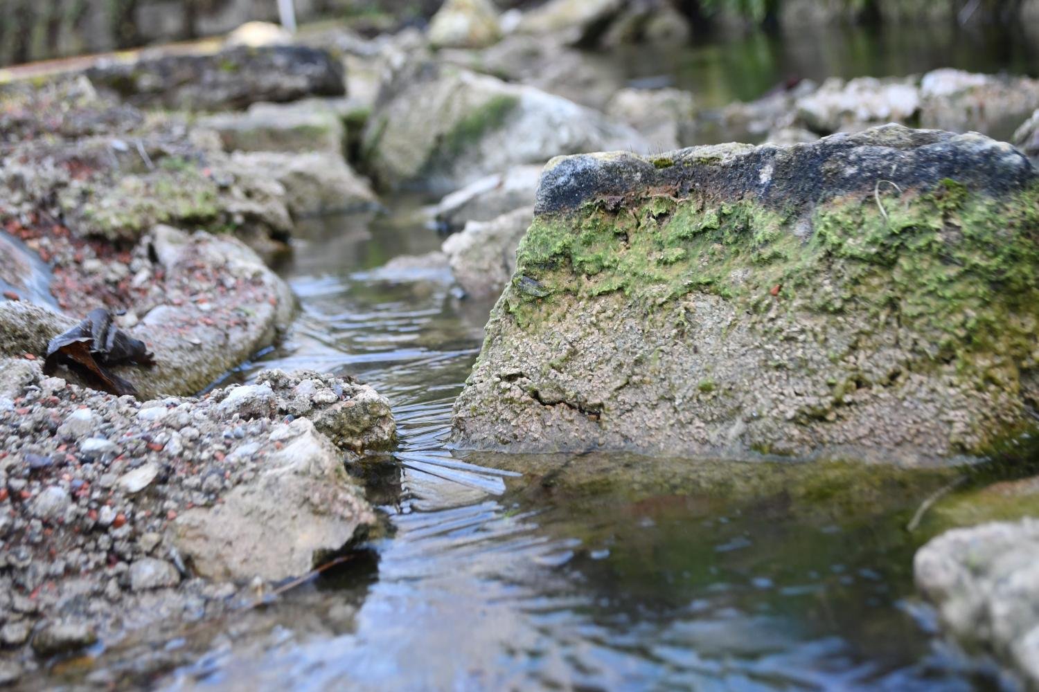 Oase_by_Yohanes_Vianey_Lein_pfarrbriefservice (c) Bild: Yohanes Vianey Lein In: Pfarrbriefservice.de