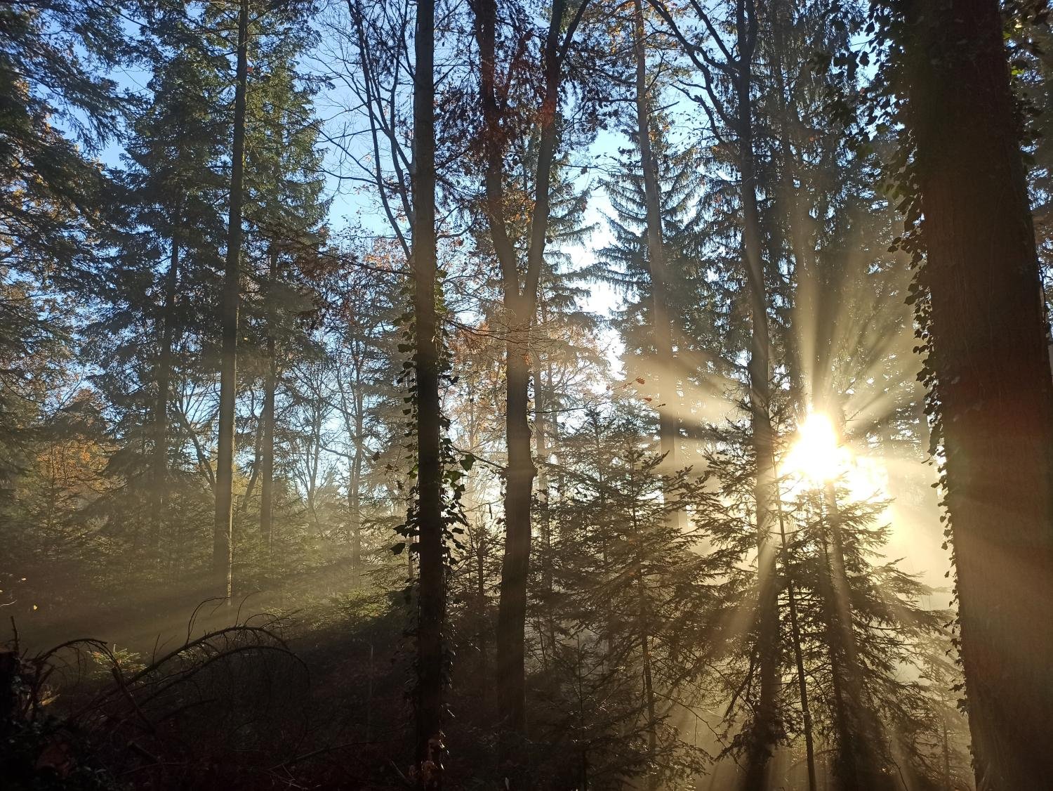 morgenandacht_by_Isolde_Schlumpp_pfarrbriefservice (c) Bild: Isolde Schlumpp In: Pfarrbriefservice.de